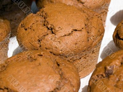 Homemade chocolate muffins