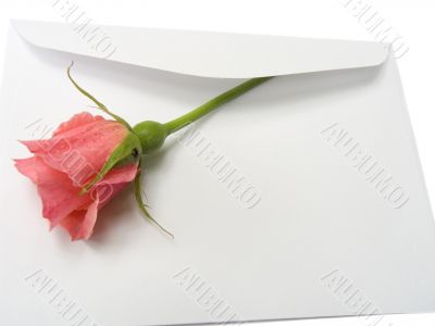 Envelope with a rose