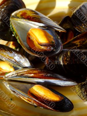 Cooked mussels