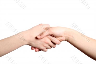 Hand shake