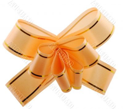 Yellow bow