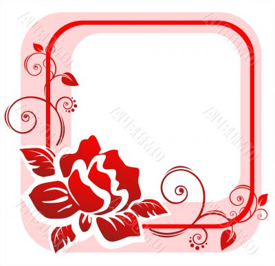 Red rose frame