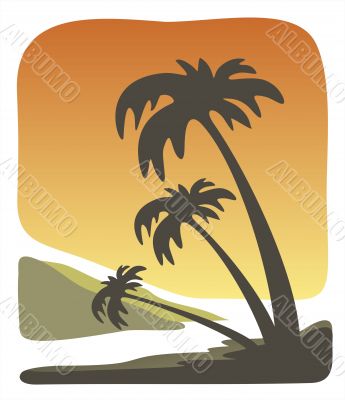 Tropical evening