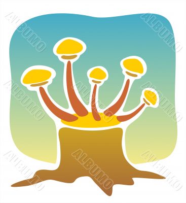 Mushrooms on a stub