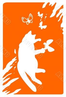 Cat and butterflies