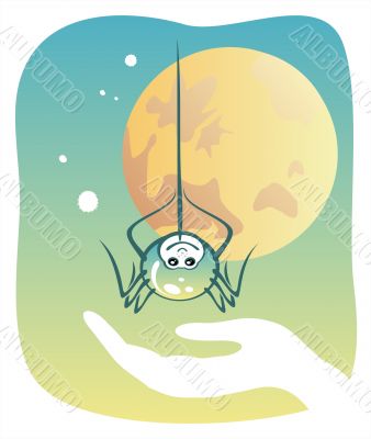 Spider in a hand