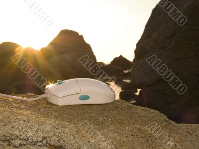 computer mouse