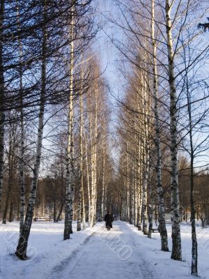 Winter way