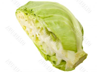 green cabbage