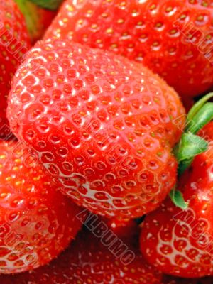 Strawberries