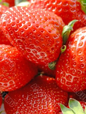 Strawberries