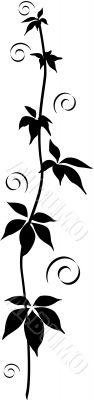 Floral Ornament