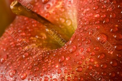 apples