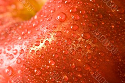 apples