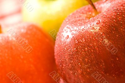 apples
