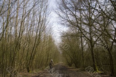 walking the dog