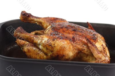 Roasted Chicken