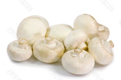 Champignons