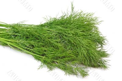 Bunch of Dill