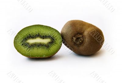 the kiwi