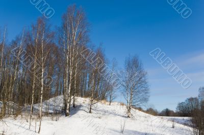 Winter landscape