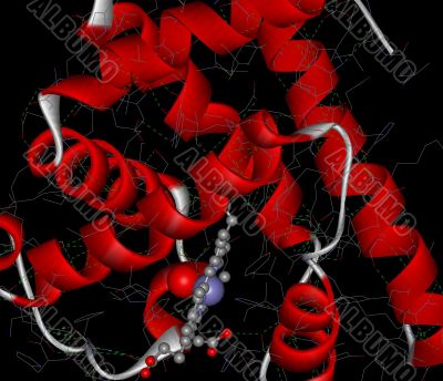 gemoglobin