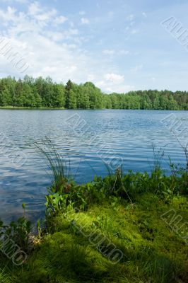 Summer at the forest lake