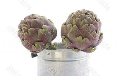 Two artichokes