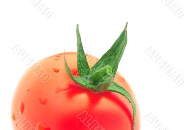 Tomato