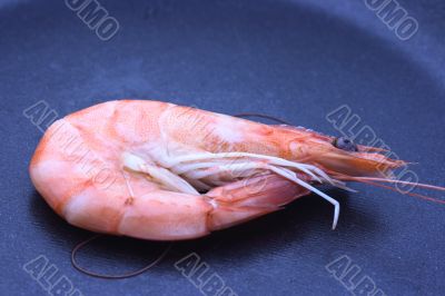 Shrimp on a pan