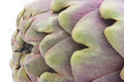 Artichoke close-up