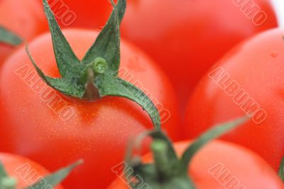 Tomato background