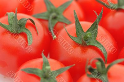 Tomato background