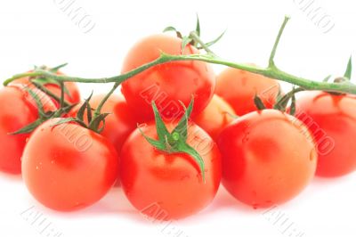 Tomato cherry