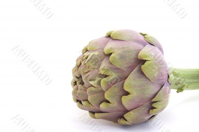 Artichoke