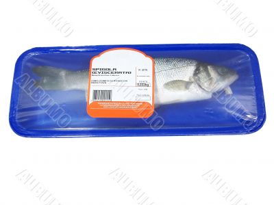 Packaged Sea-bass Isolated Dicentrarchus Labrax