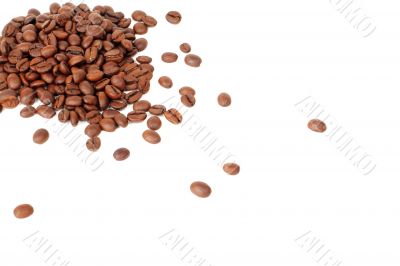 coffee beans on white