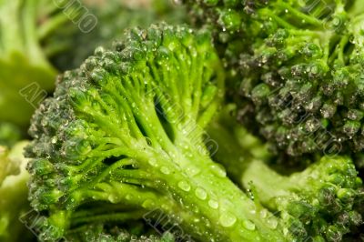broccoli water
