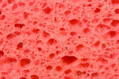 sponge