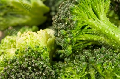 broccoli water
