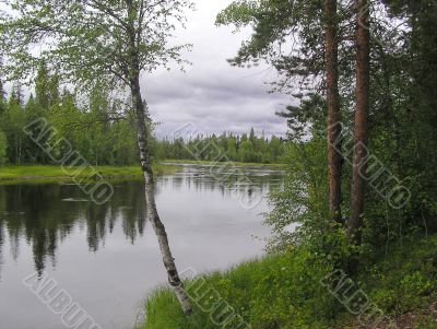 The river flows through wood