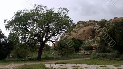 Santa Susana Mountains 6345