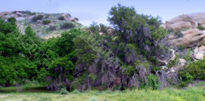 Santa Susana Mountains 6348