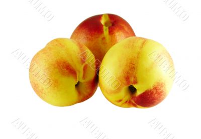 tree juicy fresh nectarines
