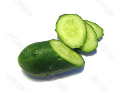 Fresh cucumber on a white background