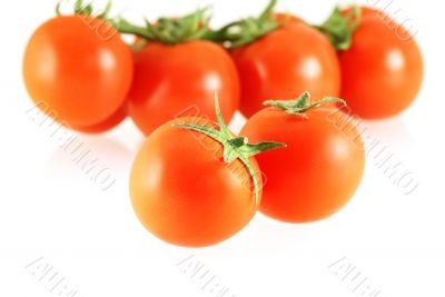 nice fresh tomatoes
