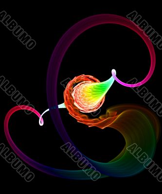 umbilicus