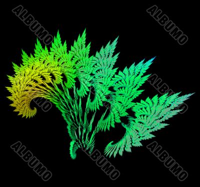 Summer ferns abstract
