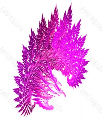 Pink ferns abstract