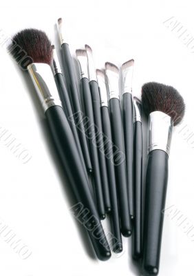 brushes